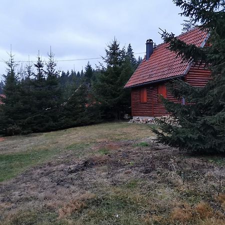 Vila Tijana Mitrovac Luaran gambar