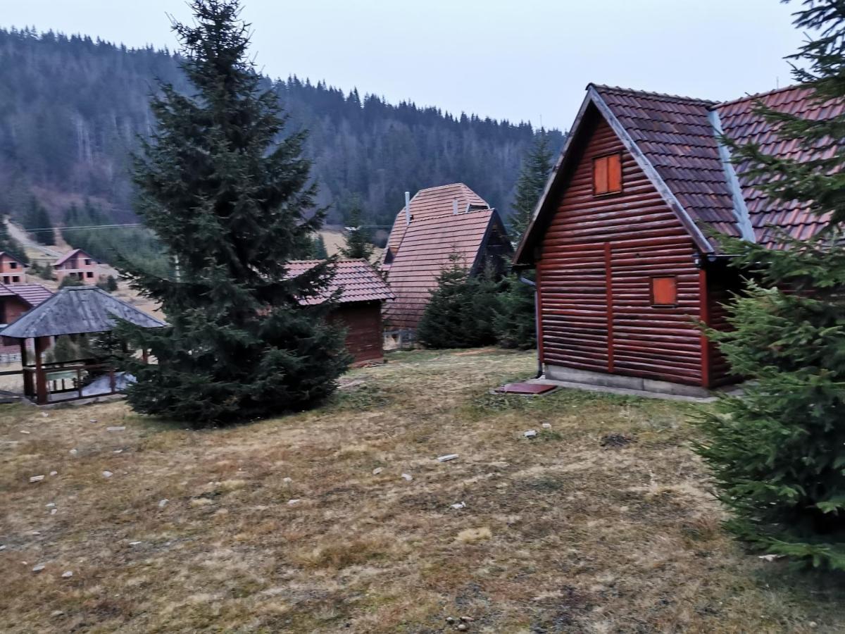 Vila Tijana Mitrovac Luaran gambar