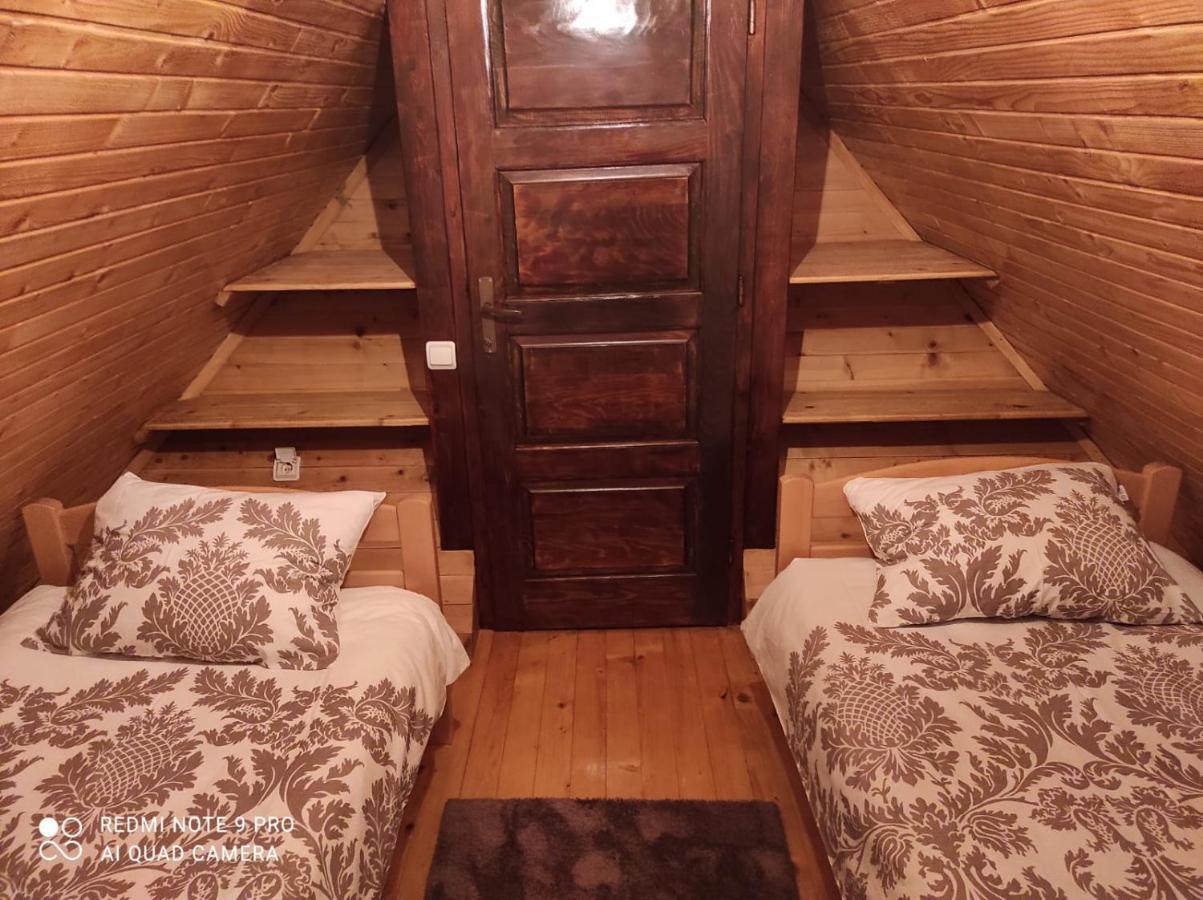 Vila Tijana Mitrovac Luaran gambar