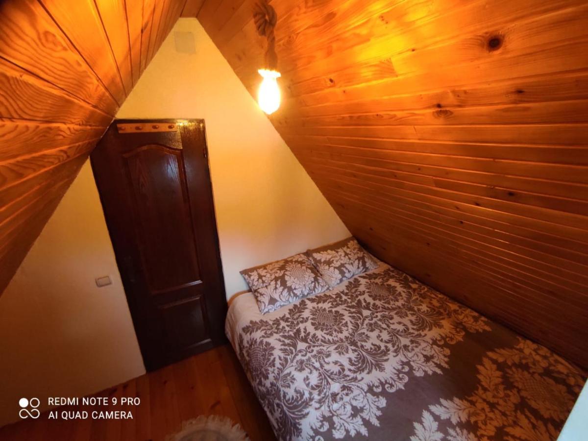 Vila Tijana Mitrovac Luaran gambar