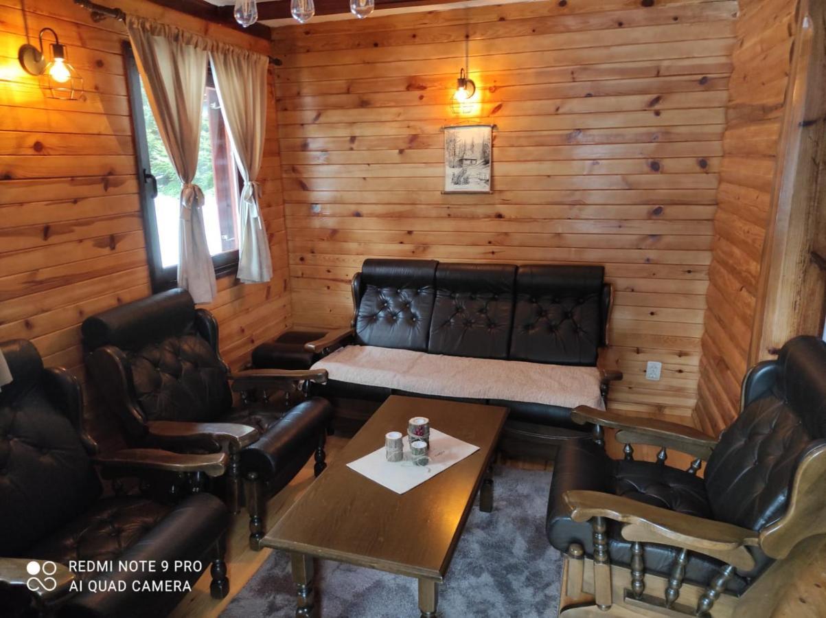 Vila Tijana Mitrovac Luaran gambar