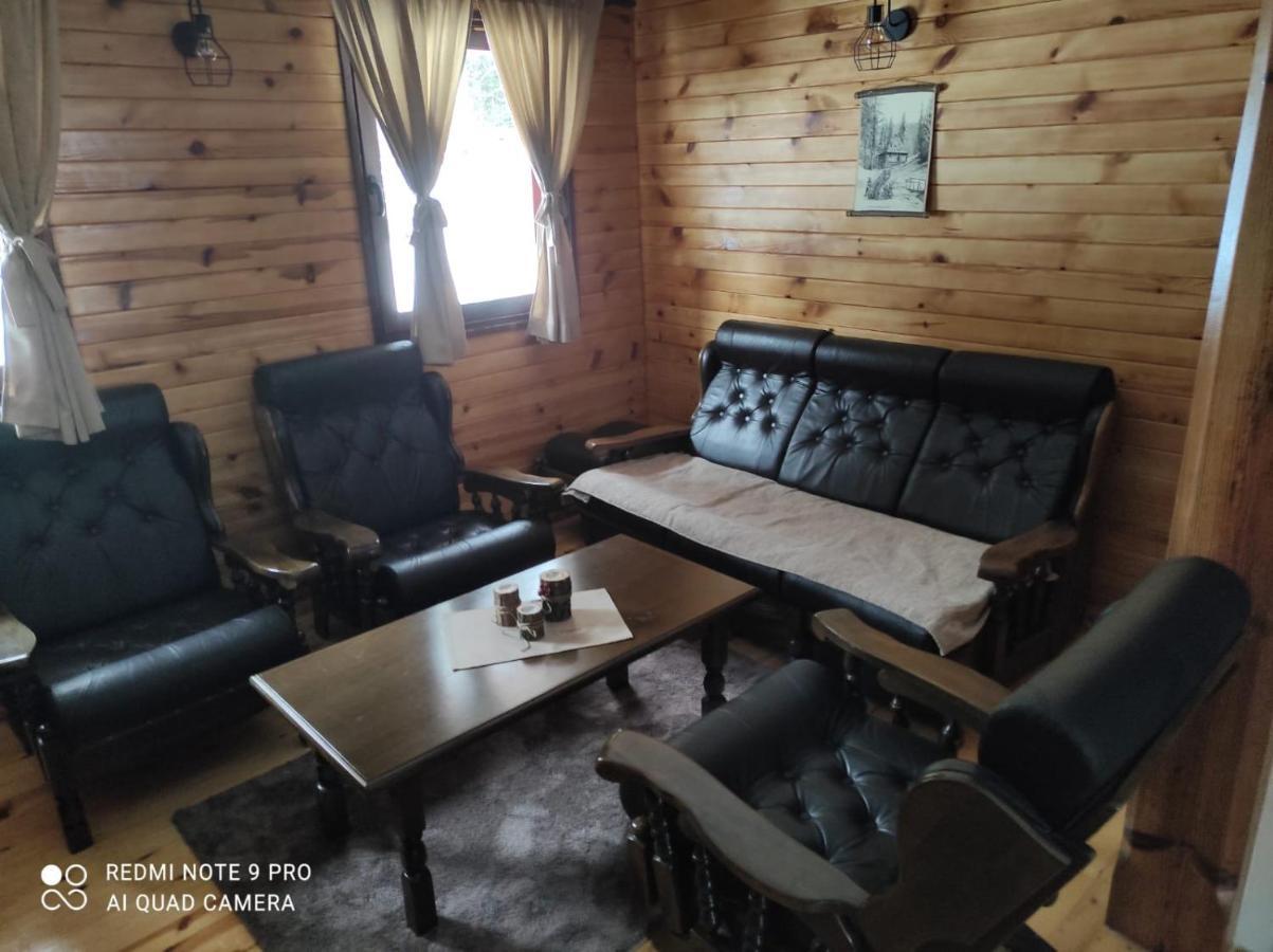 Vila Tijana Mitrovac Luaran gambar
