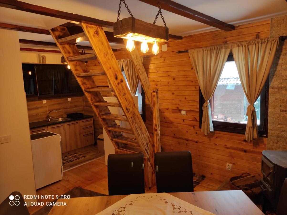 Vila Tijana Mitrovac Luaran gambar