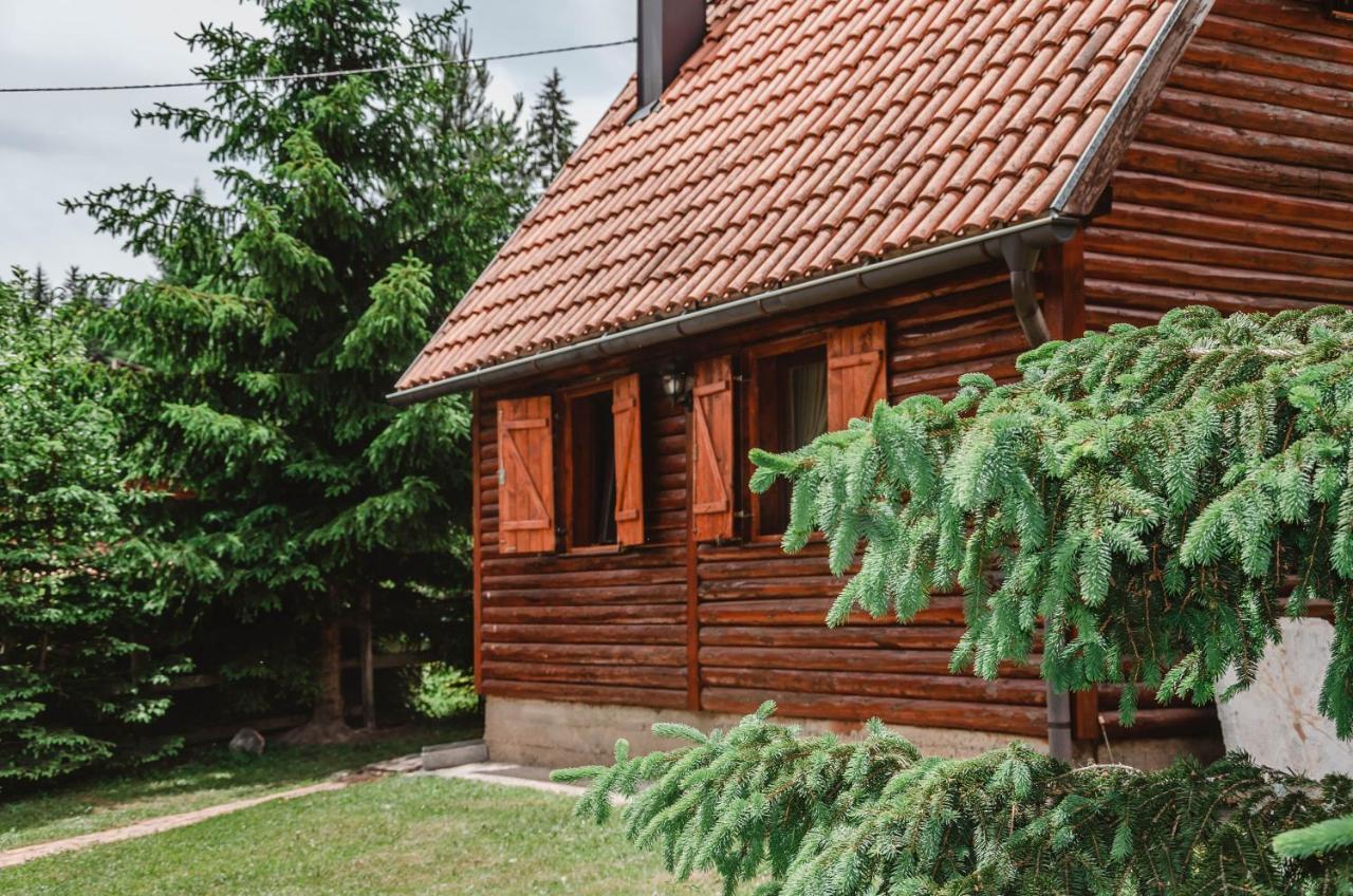 Vila Tijana Mitrovac Luaran gambar